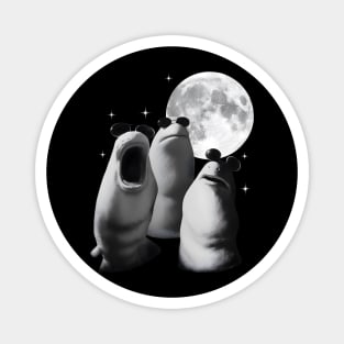 Marcus-The-Worm Magnet